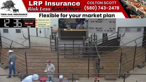 5/28/2025 - Sheep & Goat Auction - Producers Livestock Auction Company