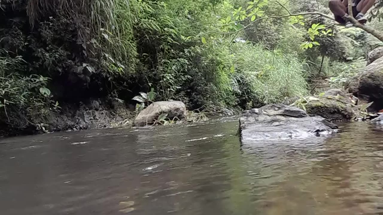 The Life of a River