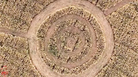 “Top 10 Most Mysterious Places You’re Not Allowed to Visit”