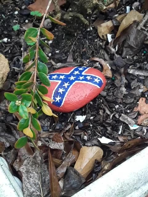 Discovering my 10th Rebel flag rock was still there!!
