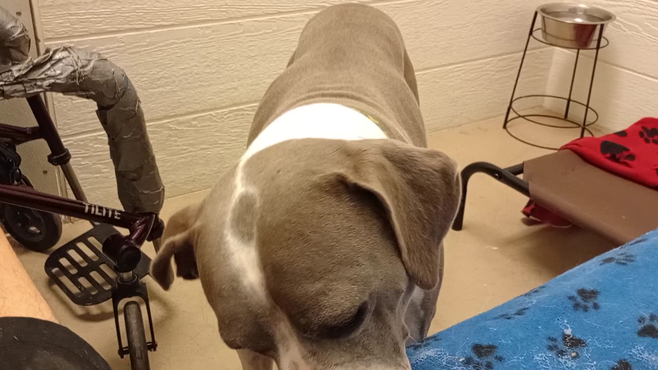 Sheldon 9y A859258 @TRN his eyes are ~off but he was crying needed compassion calm energy20250803851