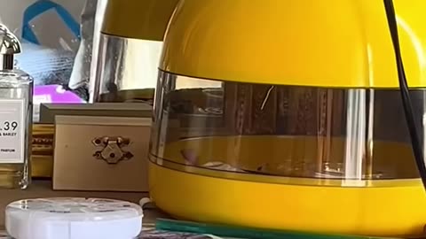 This woman helped the bird through a dangerous egg laying process and then