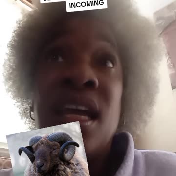 MILK MAN SERBICES INCOMING