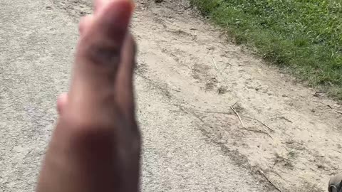 🚗 Accident