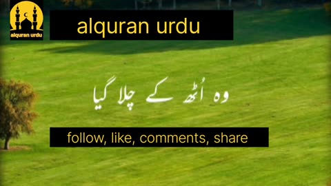 Khajoor Ka drakht