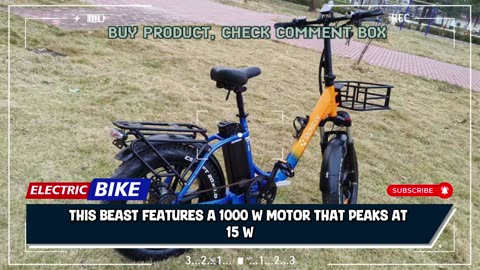 Ridstar MN20 Electric Bike 1000W 48V 20AH Battery 20*4-inch Fat Tire Electric Bike