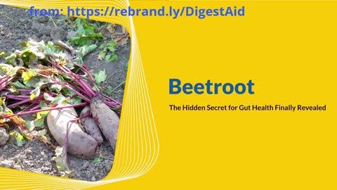 Beetroot Kanji: The Hidden Secret for Gut Health Finally Revealed