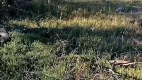 🎙️💥 Ukraine Russia War | Russian Soldiers' Frustrations in Ukraine | RCF