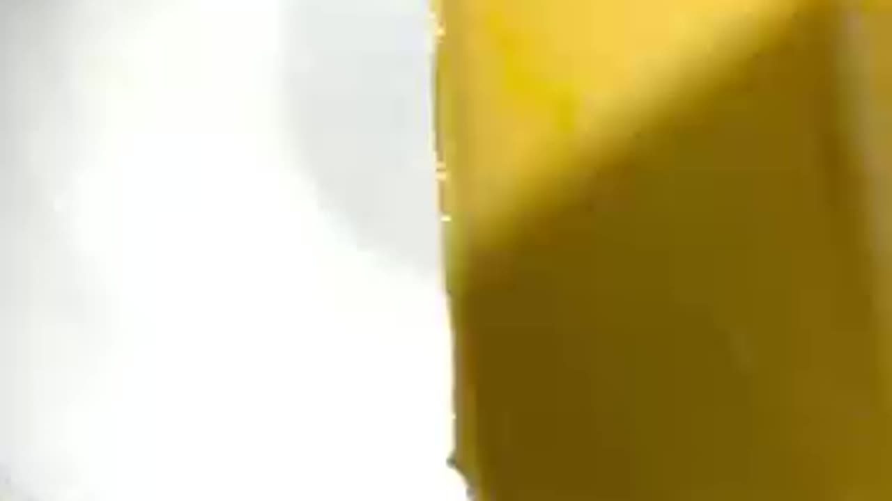 Roasted shallots and garlic bread