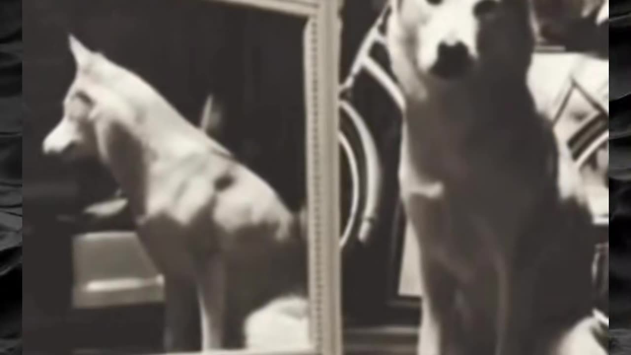 😨👻 You Won't Believe What They Caught on Camera! | TheHauntingHour