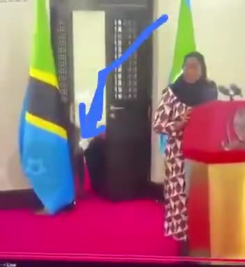 a worker of Tanzania's President Samia Suluhu Hassan crawling on their knees to close a door💀