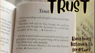 The Bible Promise Book King James Devotional "Trust" #trust #faith #king #new #god