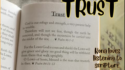The Bible Promise Book King James Devotional "Trust" #trust #faith #king #new #god