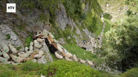 Unlocking Earth’s Most Beautiful Secrets