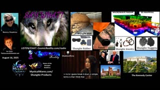 SAY WHAT 8/16/25 - Kids and Shungite to Interdimensionsl Visitors