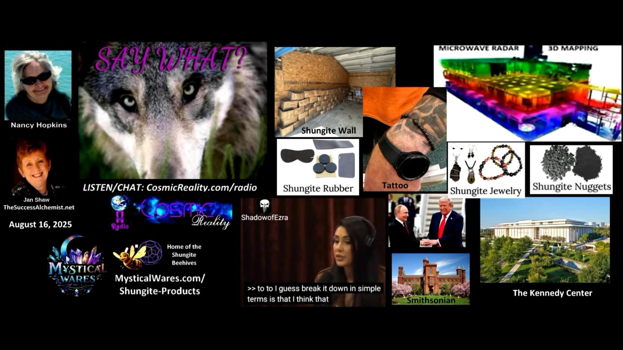 SAY WHAT 8/16/25 - Kids and Shungite to Interdimensionsl Visitors