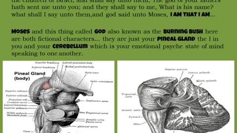 It's truly all in your head