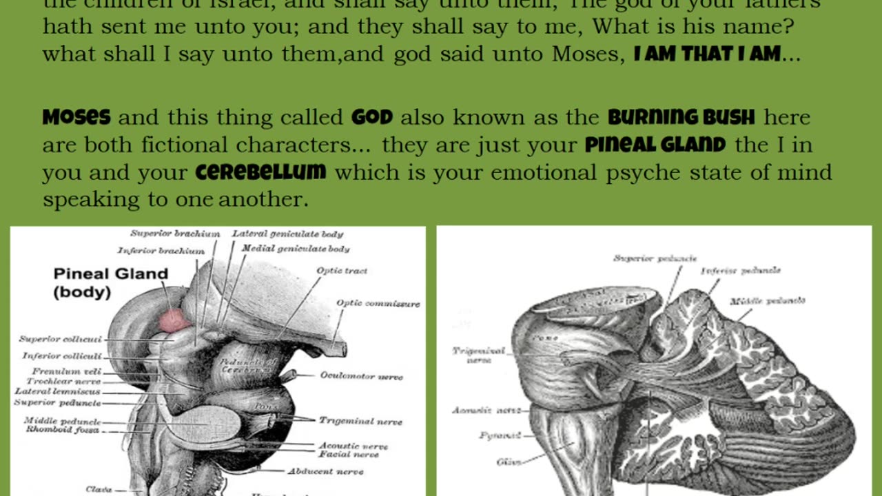 It's truly all in your head