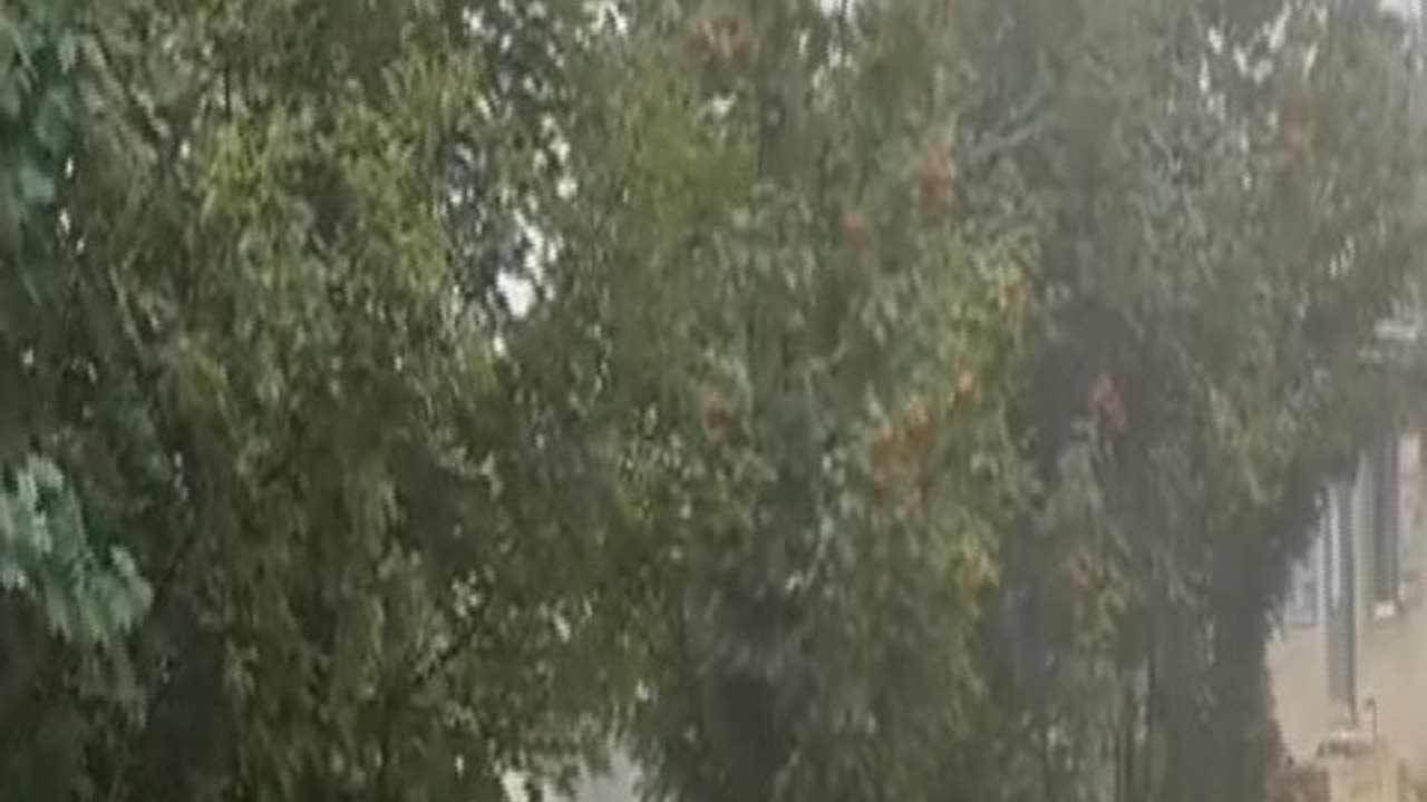 Karadeniz yaylaları