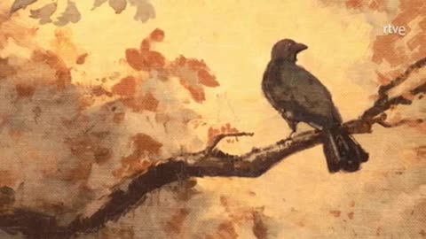 Valle salvaje capitulo 348 parte 1