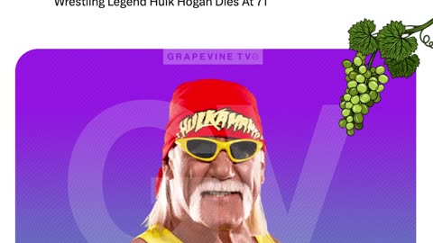 Wrestling Legend Hulk Hogan Dies At 71