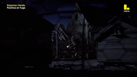 [R] Inicio de "Pollitos en Fuga" en Latina Televisión (Perú 🇵🇪) (18/01/2026)
