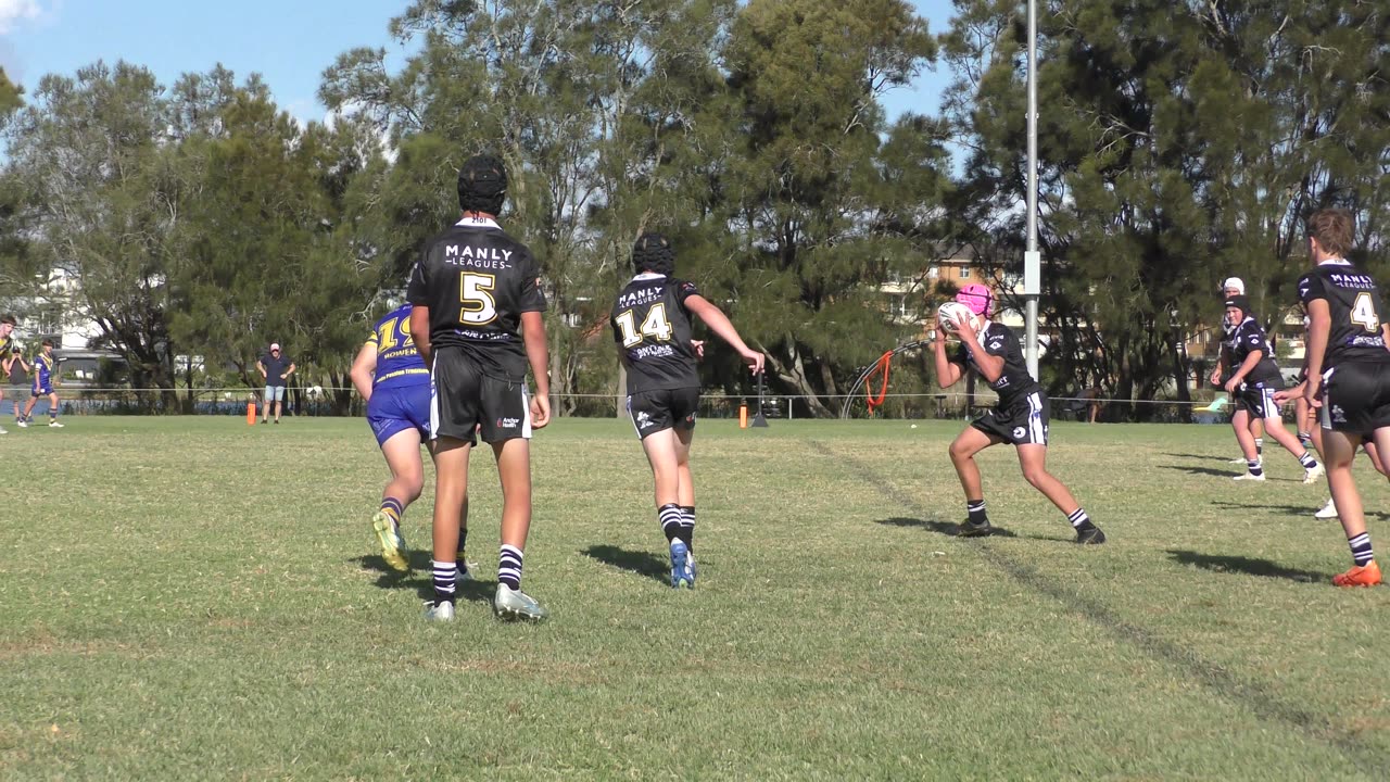 Narrabeen v Willoughby