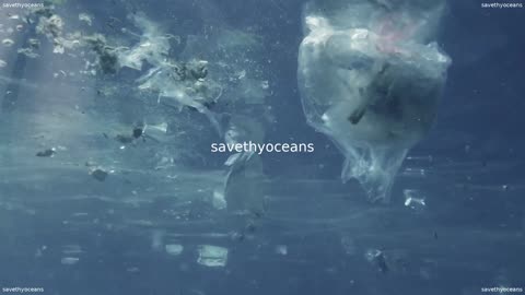 Pour La JournÃ©e Mondiale Des OcÃ©ans