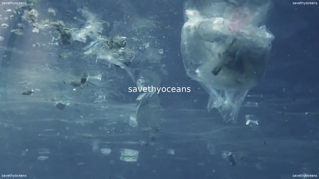 Pour La Journée Mondiale Des Océans