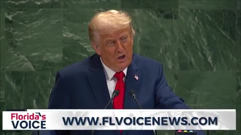 The UN is supposed to STOP invasions