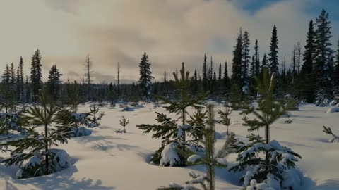 I Followed a Yakut Family for 24 Hours. What I Saw Changed Me.