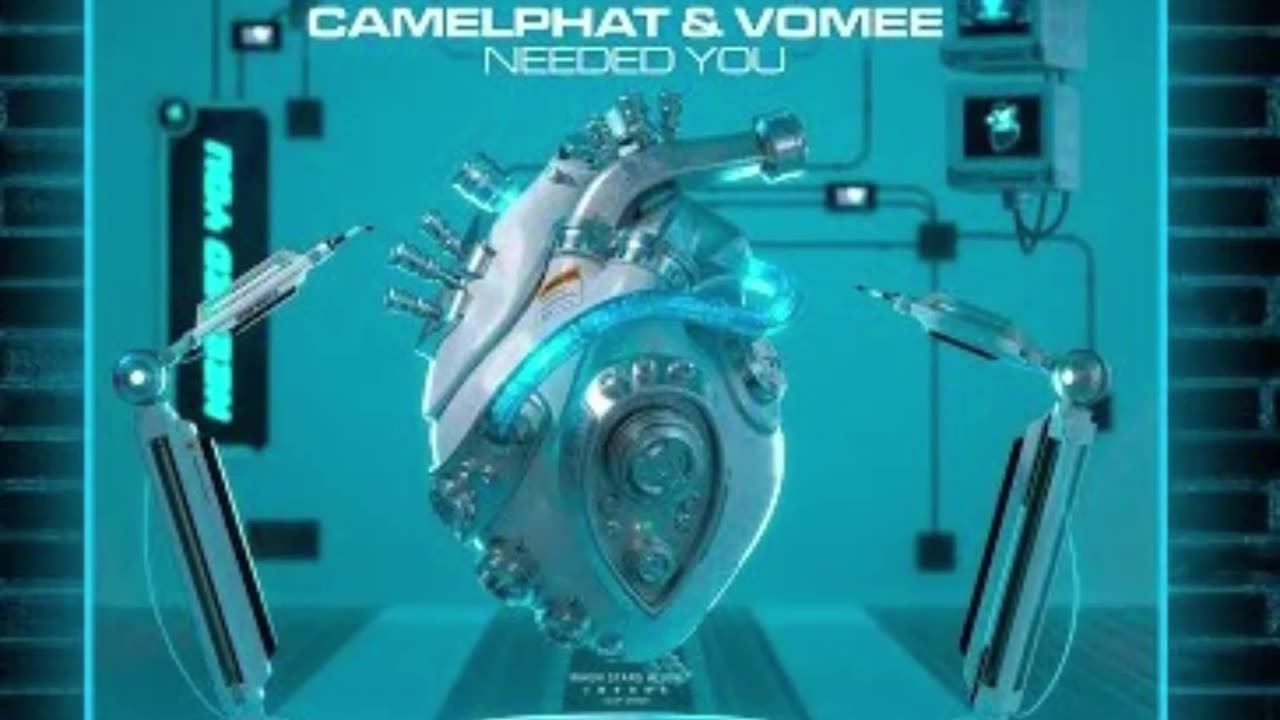 CamelPhat & Vomee - Needed You [Acapella Stems + Instrumental]