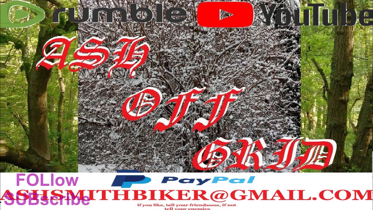 serious question, has anyone EVER seen any of these