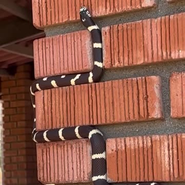 I think there is a video game based on this