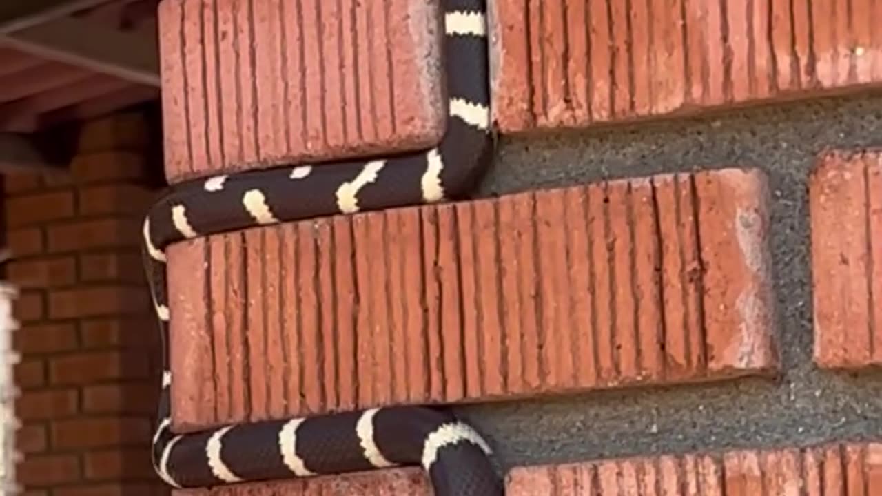 I think there is a video game based on this