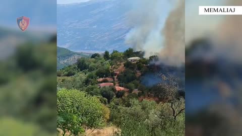 Arrestohet autori i zjarrvënies në fshatin Iliras, nga ku u dogjën 3 banesa dhe 400 pemë frutore