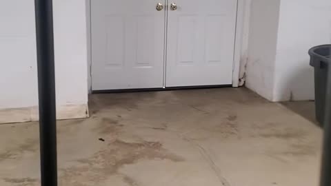 😨🕯️ They Thought They Were Alone... Ouija & Jinn Encounter | TheHauntingHour