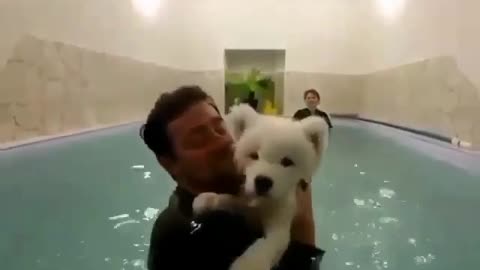 funny animals