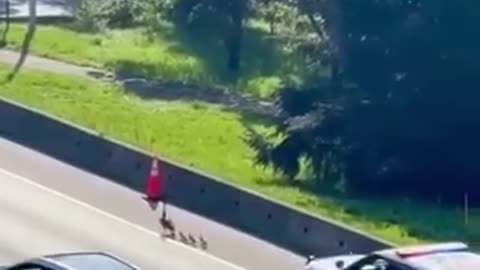 The most Canadian police escort you’ll see