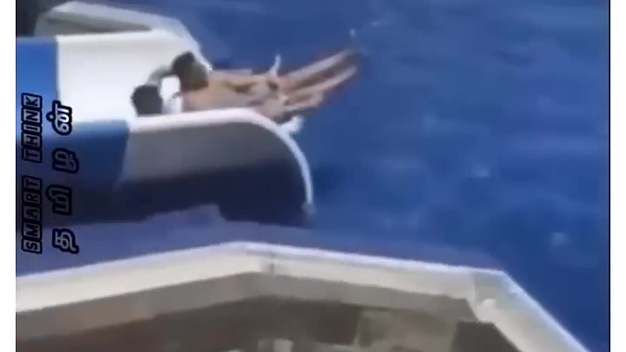 Funny video 😂😂