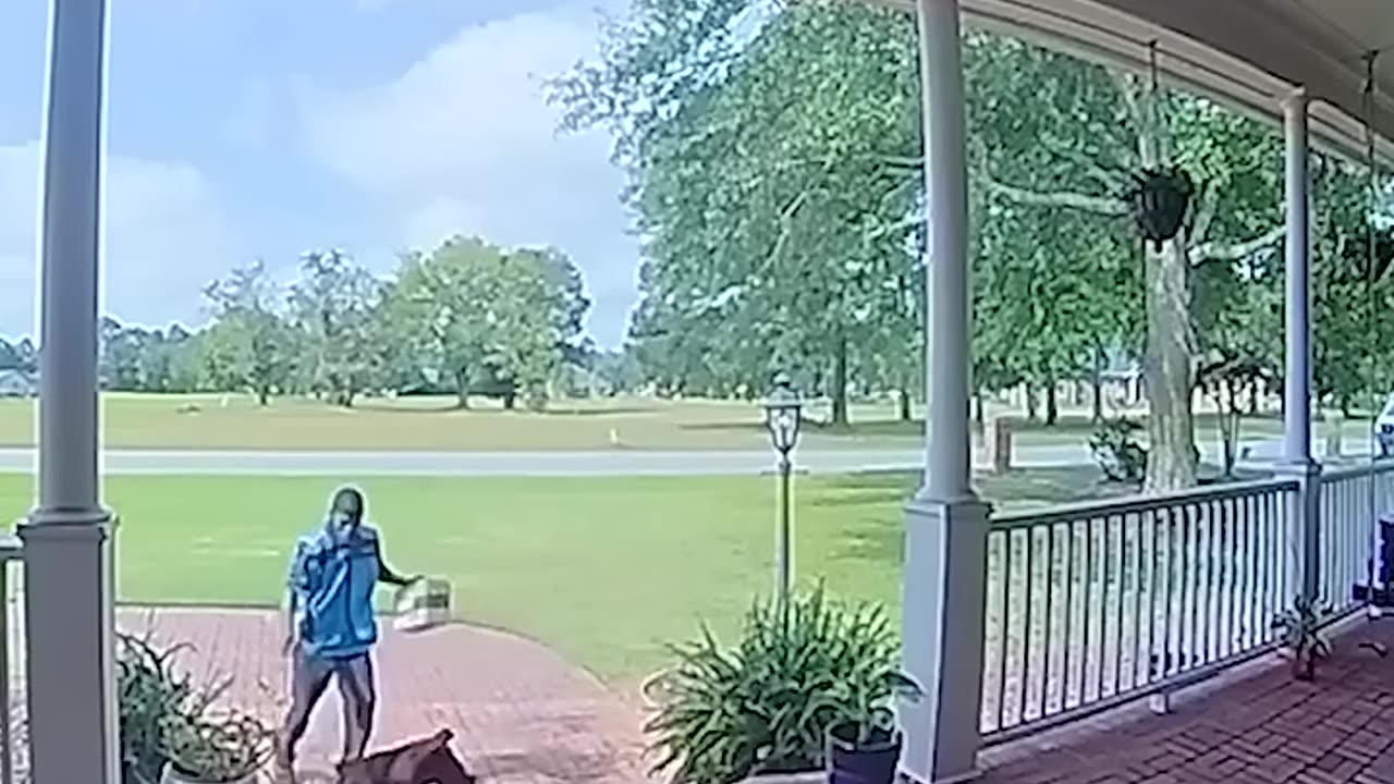 Who made this dog mad