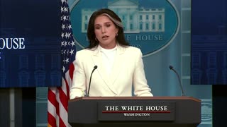 🚨🔥DNI Tulsi Gabbard: "The expressed intent and what followed afterward can only be described..