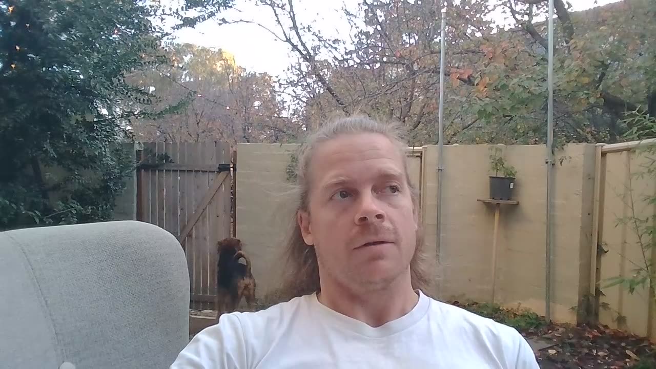 Day 77 - My proposal to the world