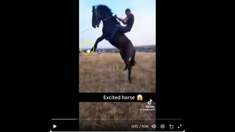 Why Horses Kick: It’s Never Their Fault, It’s Ours