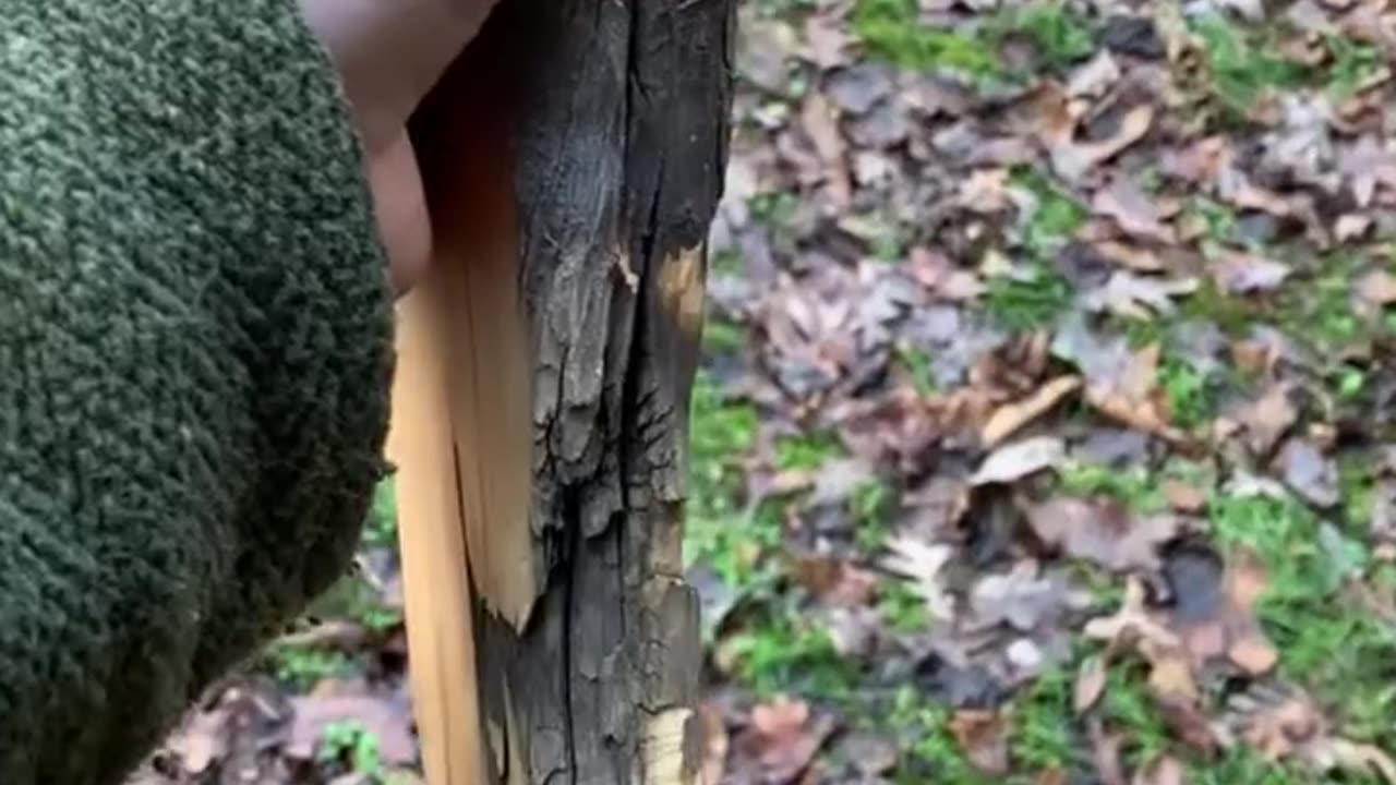 Unbelievable Wood Carving Art! 🔨 Watch Woodden Transform into Masterpiece with Precision Cutting