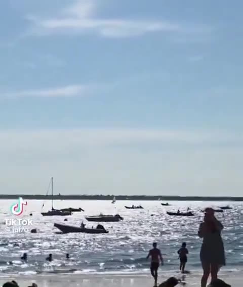 c’est pas un fake qui a vu ça sur les plages d’arcachon !