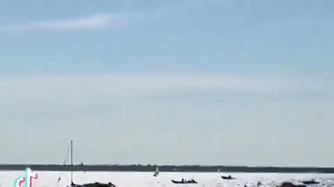 c’est pas un fake qui a vu ça sur les plages d’arcachon !