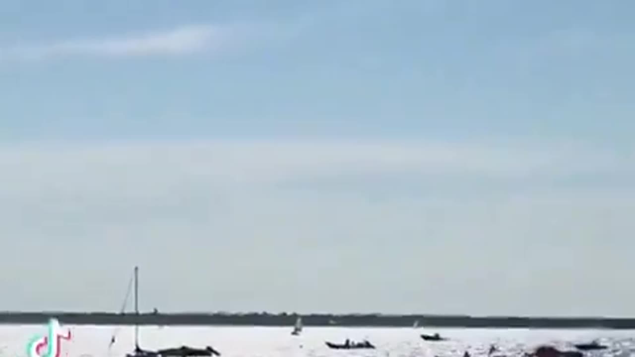 c’est pas un fake qui a vu ça sur les plages d’arcachon !