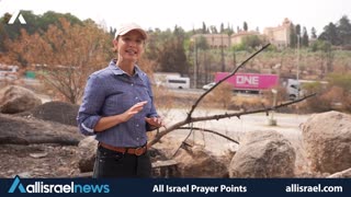 Prayer for Israel: Forest Fires, Lag BaOmer & Healing the Land