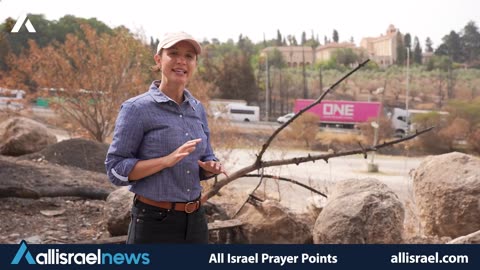 Prayer for Israel: Forest Fires, Lag BaOmer & Healing the Land
